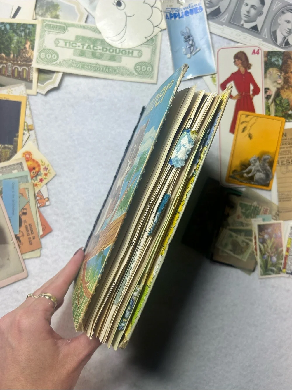 Vintage Junk Journal Kit